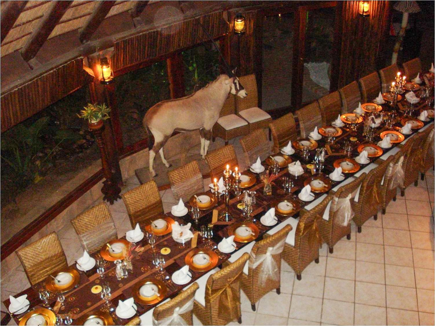 Ditholo Game Lodge Bela Bela Εξωτερικό φωτογραφία